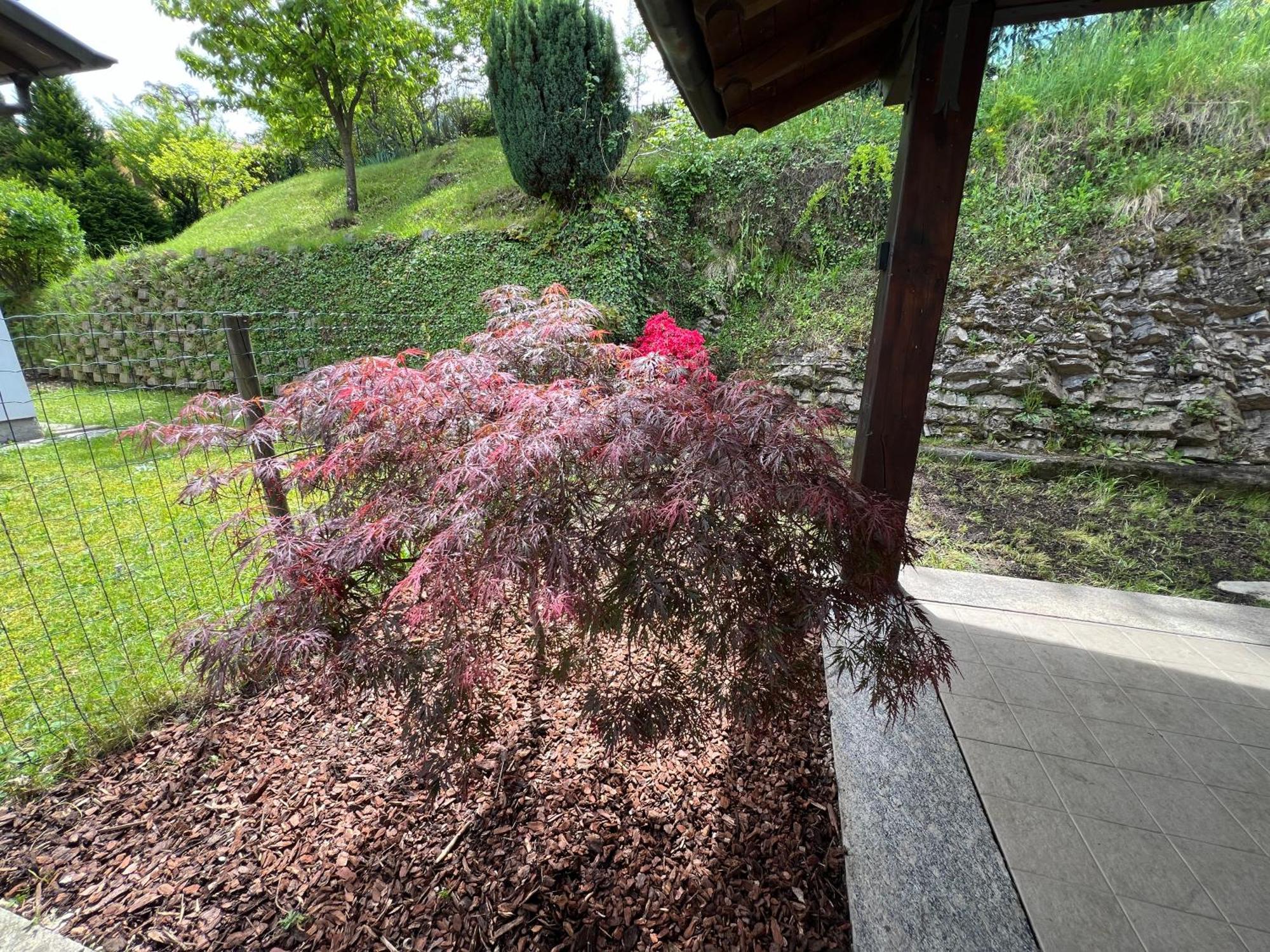L'Acero Rosso - Giardino Privato E Box Auto Menaggio Exterior foto